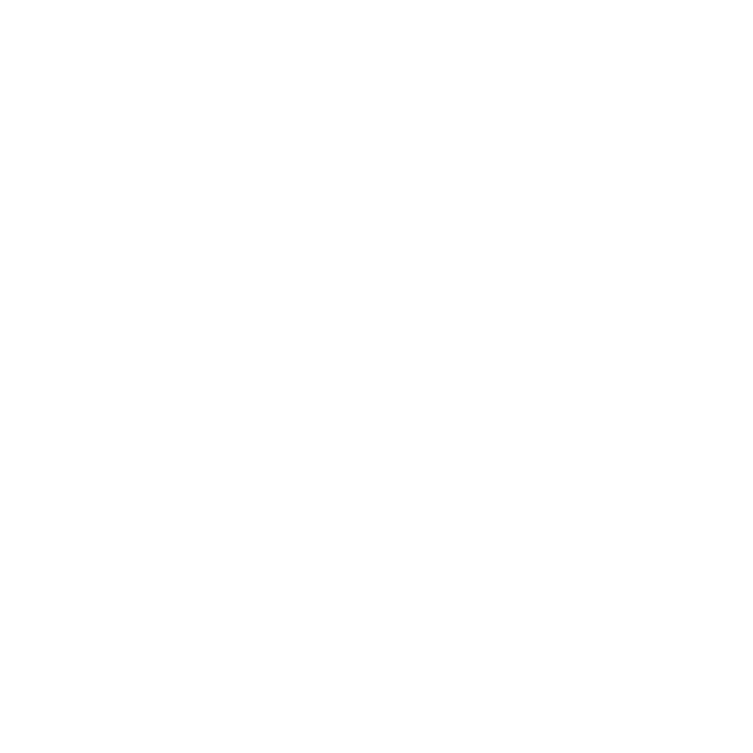 CZ Logo